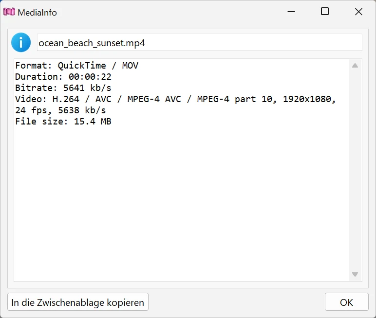 Dateiinformationen anzeigen in Bolide Movie Creator