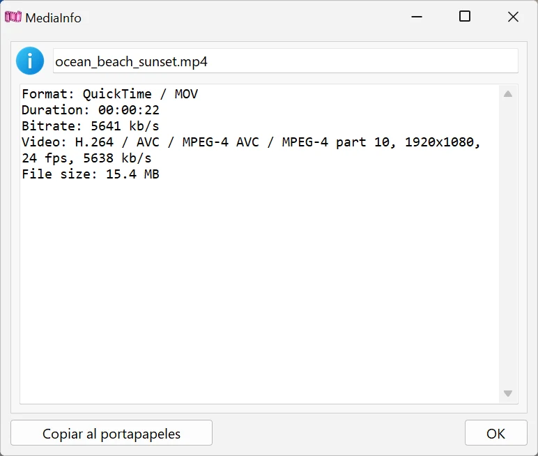 Ver la información de un archivo en Bolide Movie Creator
